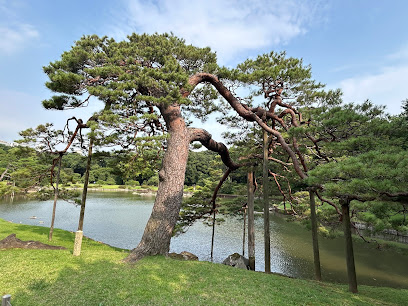 吹上松
