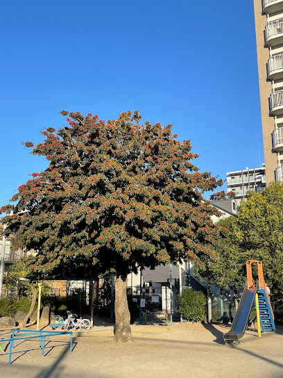 Nagata Park