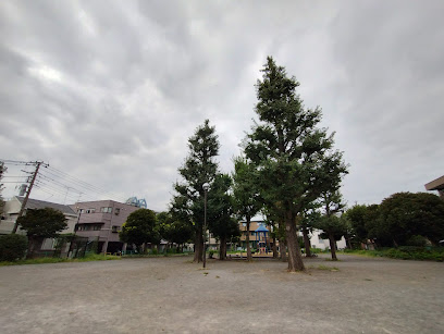 Kawanakajima Park
