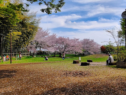 Takenoko park