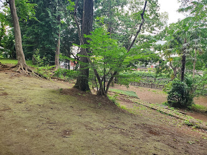 Tenjinyama Castle Ruins