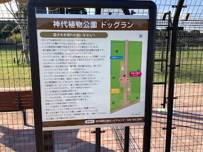 Dog Run