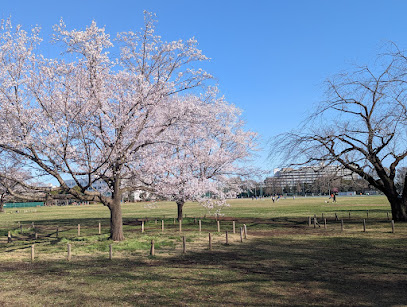 Musashino Central Park