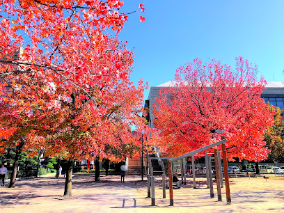 Senda Park