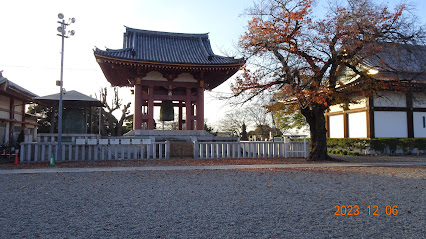 身延山枝垂れ桜