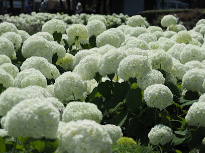 Arakogawa Koen Sunken Garden