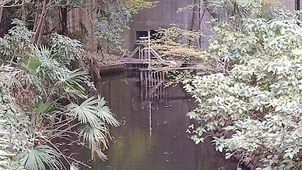 恋ヶ窪村分水跡(大池南側)