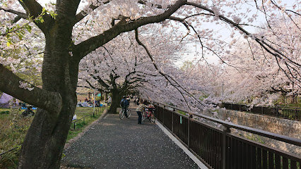 Soshigaya Park