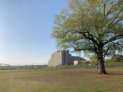 Tamagawa Ryokuchi Park