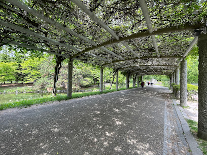 中島公園 藤棚