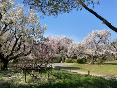 Koishikawa Botanical Garden