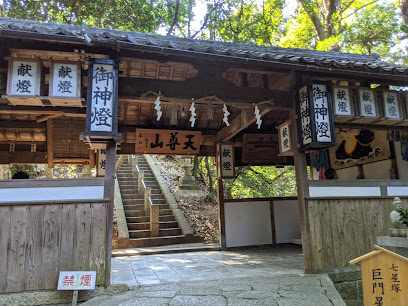 Hoshidamyokengu