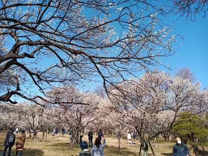 日本庭園
