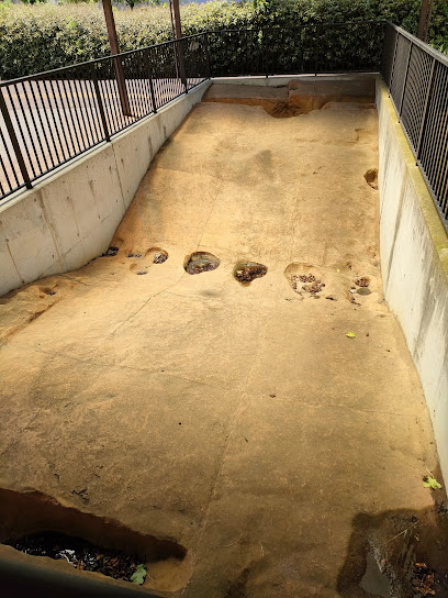 東山道武蔵路遺構再生展示施設