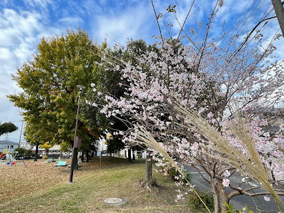 Aichi Park