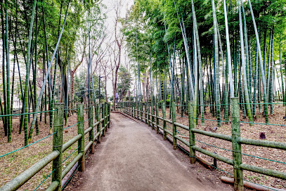 Suzume-no-oyado Ryokuchi Park