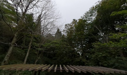 Maya Botanical Garden