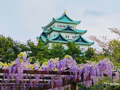 Meiji Park Wisteria Corridor