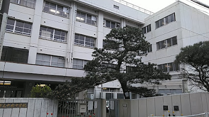 東久留米名木百選No.85クロマツ