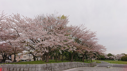 Restored and Preserved Water Area