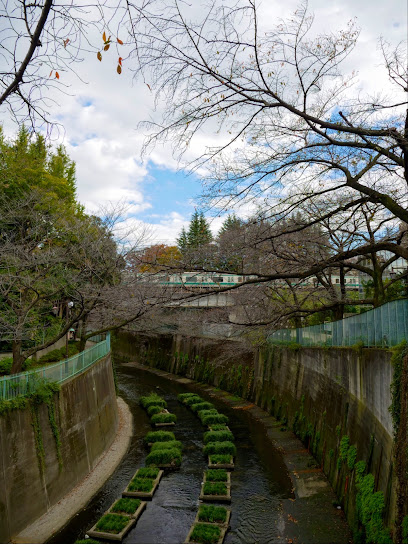 Itabashi City Itabashi East Ikoi no Mori Forest