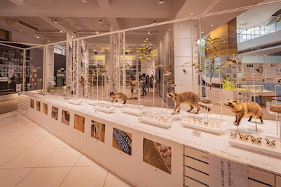 Kawasaki Municipal Science Museum