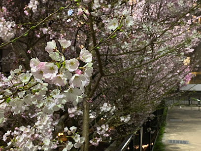 Hikawasakura Park