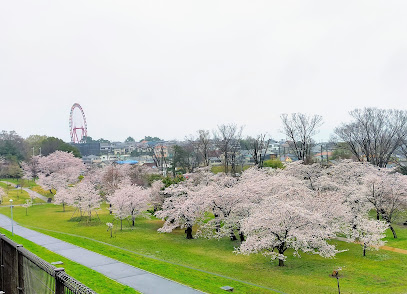 Sayama Park