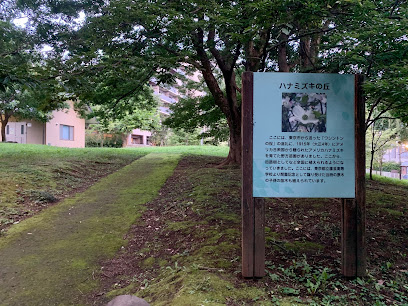 江古田の森公園 ハナミズキの丘