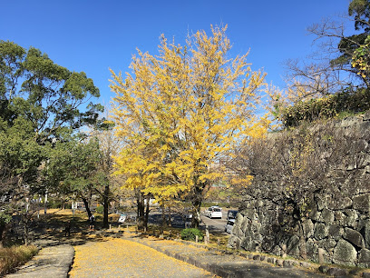 Matsunoki-zaka (Pine Tree Slope)