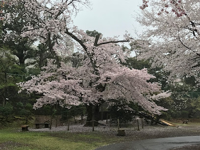 Mitakadai Children's Park