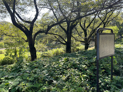 武蔵野公園低湿地遺跡