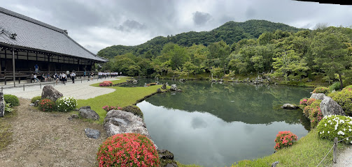 Arashiyama Bamboo Forest