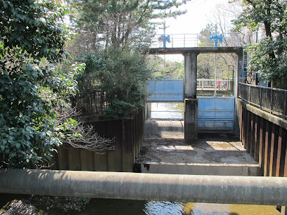 Nerima City Musashiseki Park
