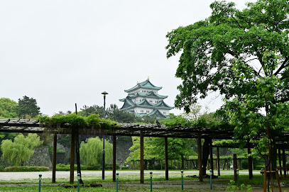 森の広場