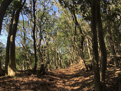 Konosuyama Ryokuchi Park