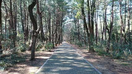 Ikinomatsubarakaigan Forest Park