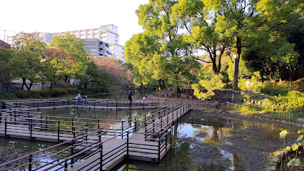 Heiwanomori Park
