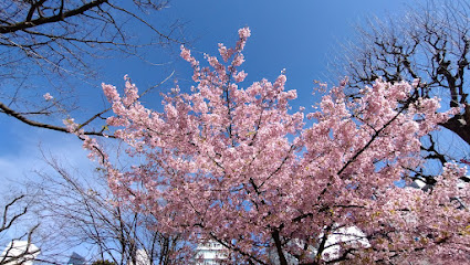 Okachimachi Park