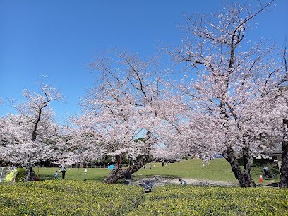 Seinanmorinokohan Park