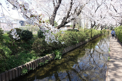 Shukugawara 1-chome Park
