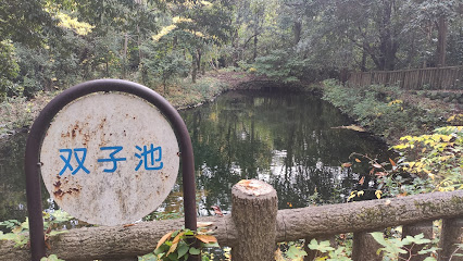 双子池