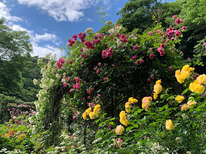 Four-Season Gardens