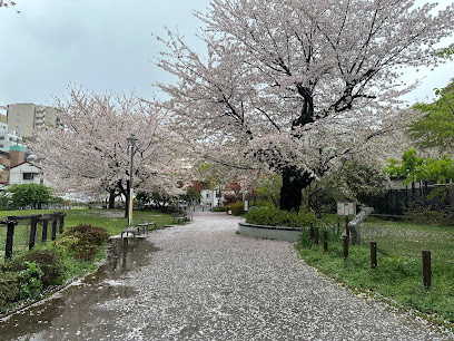 Shinjuku City Tomihisa Sakura Park