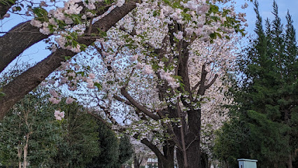 Horiawai Promenade