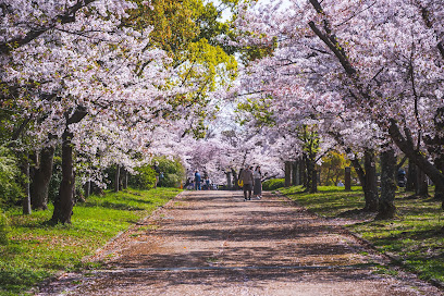 Osaka Castle Park