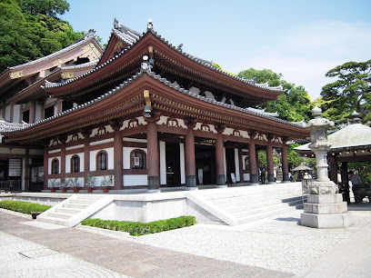Hasedera