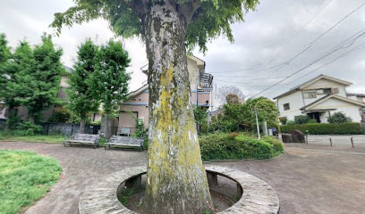 Tokuraaozora Park