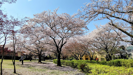 Moroyama park