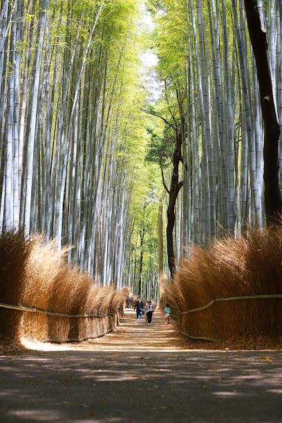 Arashiyama
